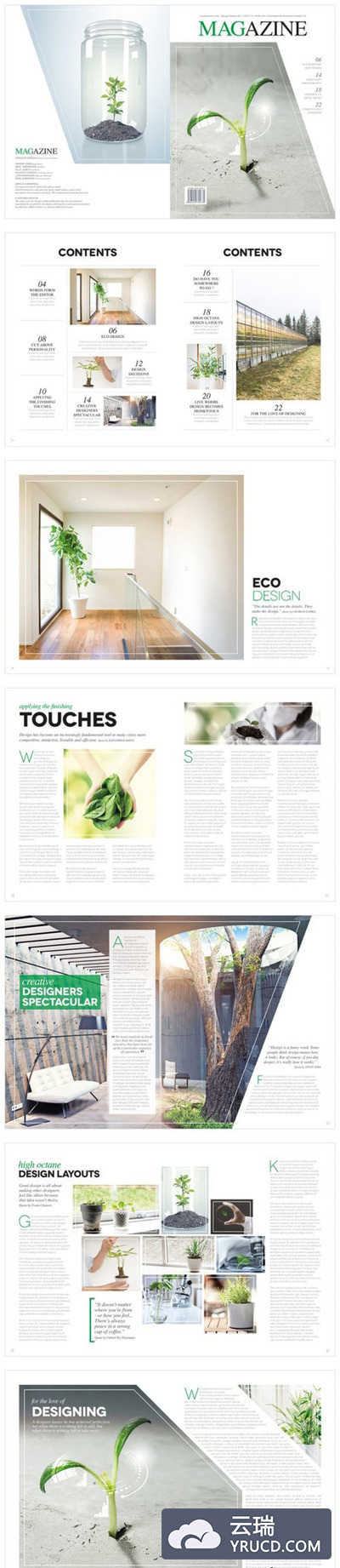 简约排版设计植物杂志画册模板