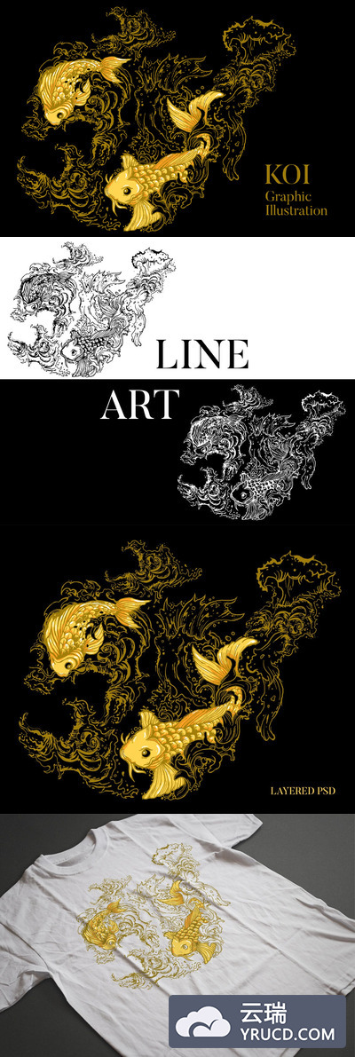 两条锦鲤插图图案插画图下载[PSD]
