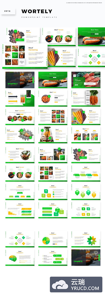 免费：健康绿色环保蔬菜主题的PPT模板下载[PPTX]