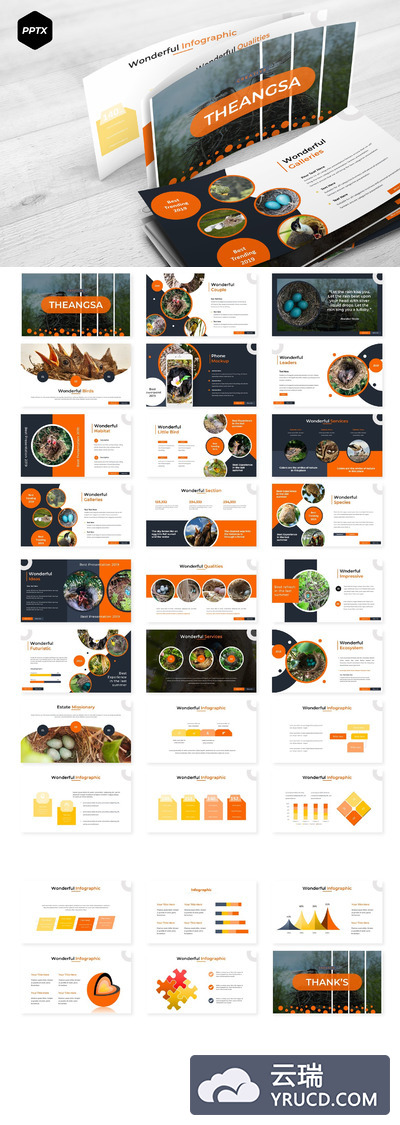 个性的工作汇报PPT模板下下载