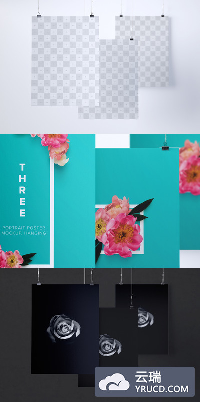 挂着的海报样机素材 Three 2:3 portrait poster mockup, hanging