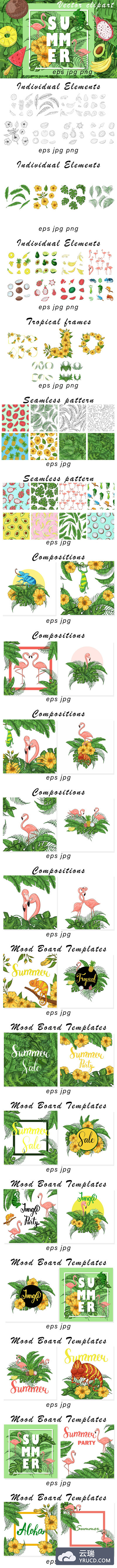 夏天热带元素矢量剪贴画&图案套装