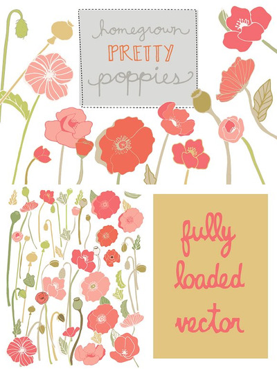 花卉素材插画 Poppies- Flower Clip Art & Vector