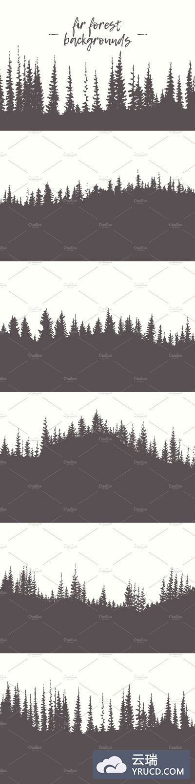 杉木森林背景 Collection of fir forest backgrounds