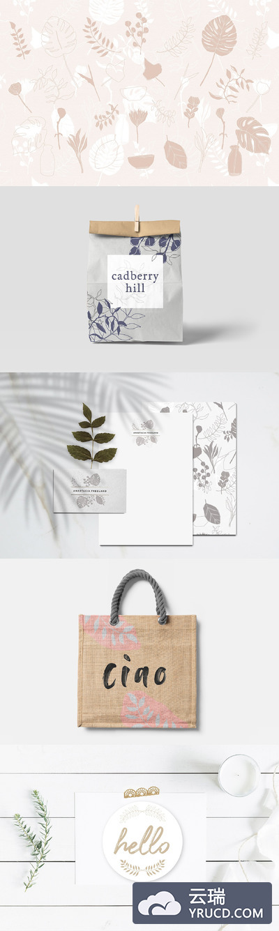 手绘植物插画 Botanical Illustration Graphics