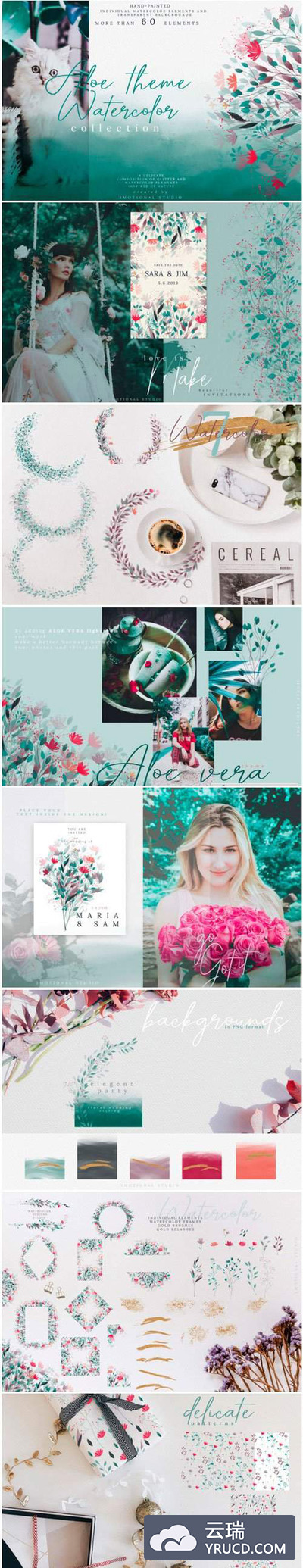 芦荟主题水彩花卉插画婚礼设计素材