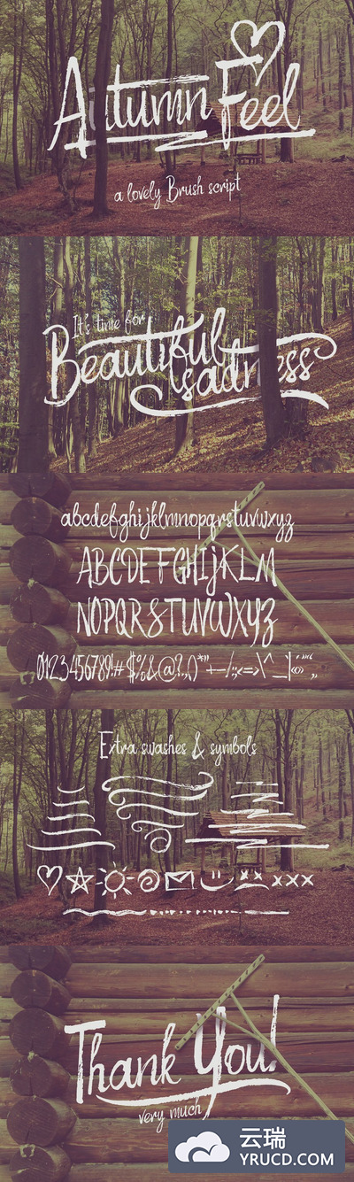 手绘书法字体 Rough script "Autumn Feel"