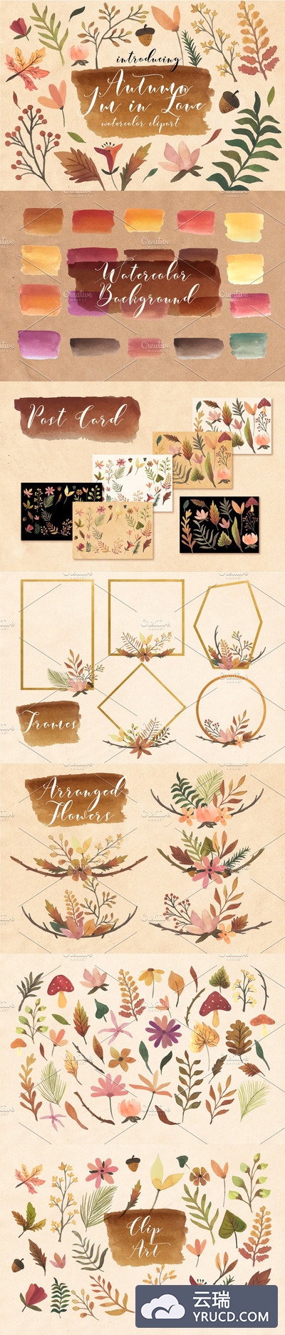 秋天花卉叶子元素水彩插画合集