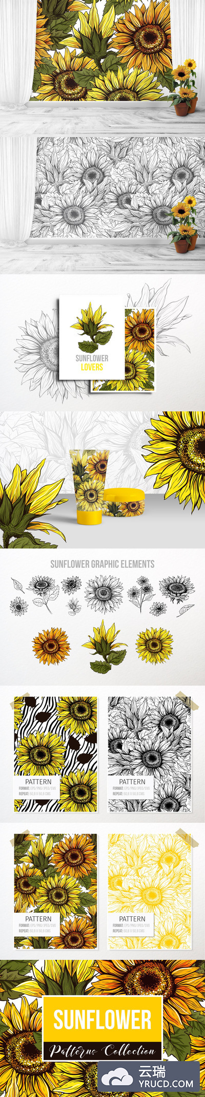 阳光花卉向日葵矢量图案合集