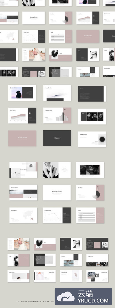 时尚高端优雅简约大数据图表powerpoint幻灯片演示模板（pptx）