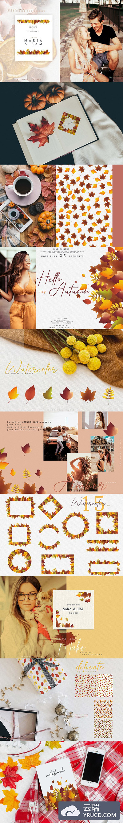 高分辨的秋季枫叶元素水彩插画设计素材