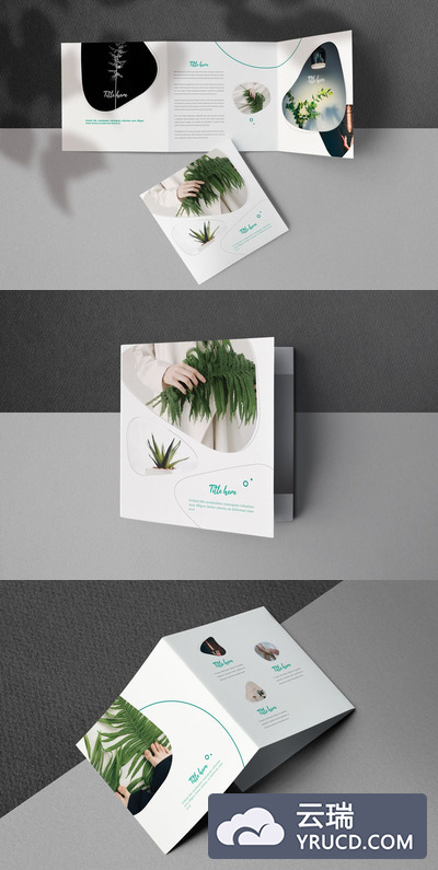 方形极简主义画册模板下载[indd]