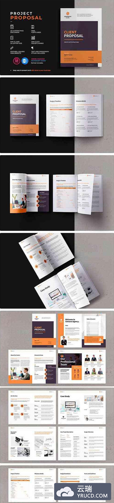 企业项目计划/商业提案杂志画册设计