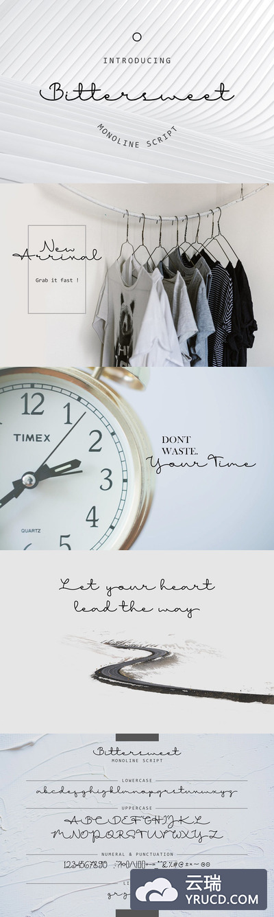 Fonts | 连笔潇洒英文无衬线设计字体