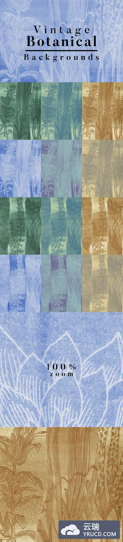 背景纹理 | 12个复古水中栽培植物元素线条素材