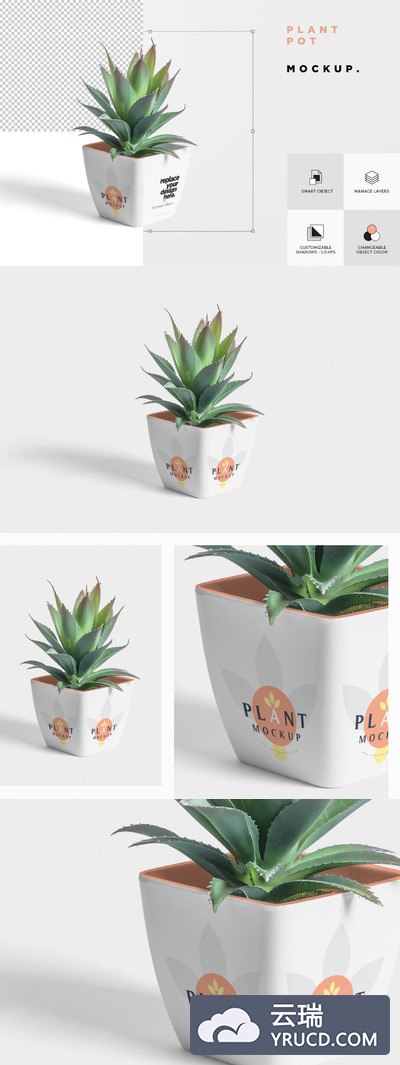 Mockups | PSD逼真花盆植物样机模型