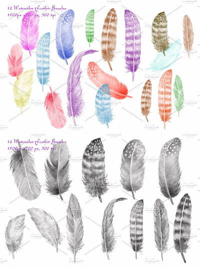 水彩羽毛笔刷素材 Watercolor Photoshop Brush Feather