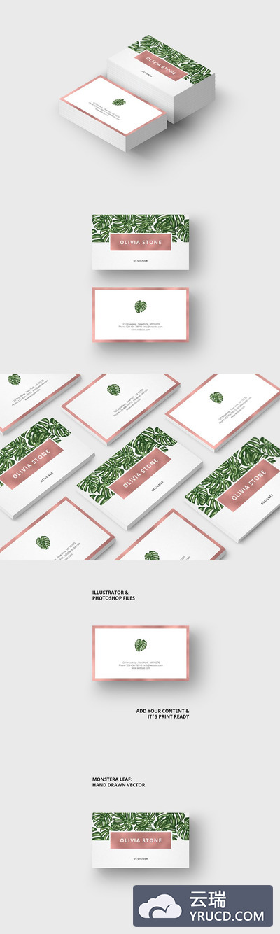 手绘龟背竹叶子&玫瑰金箔纸名片模板