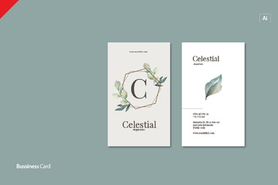 免费，优雅的商业名片模板下载[Ai]