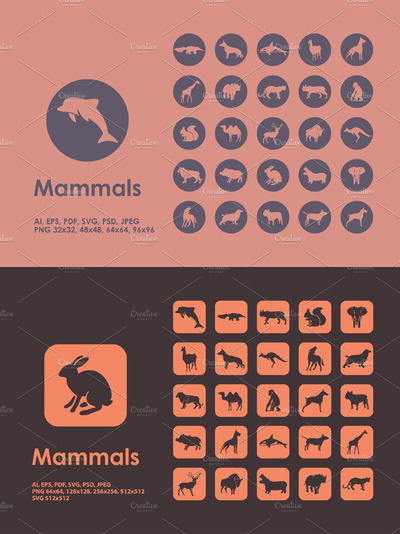 哺乳动物矢量图标 Mammals icons