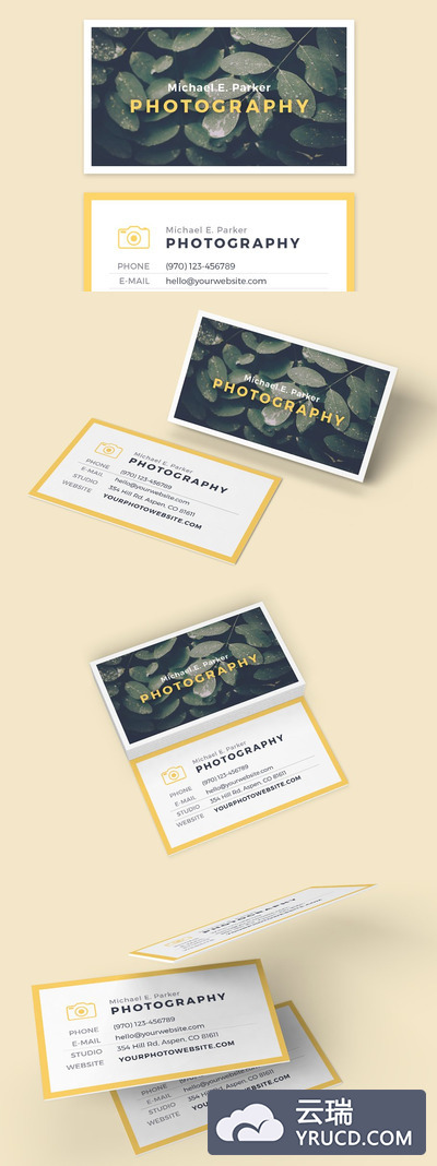 商业个性名片模板 Business Card Template - LEAVES