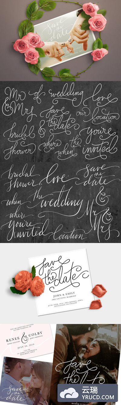 手绘婚礼花卉素材 Hand Drawn Wedding Words