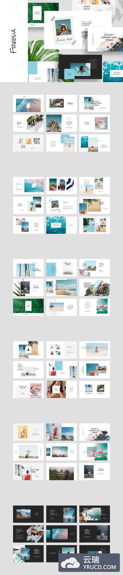 时尚keynote模板 Freesia Keynote Template