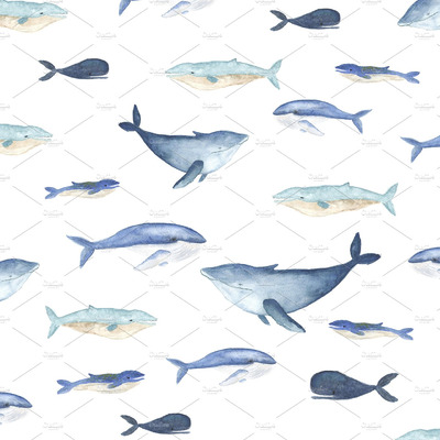 水彩鲸鱼插画 Watercolor whales