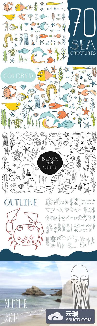 手绘海洋生物插画70 Hand Drawn Sea Creatures