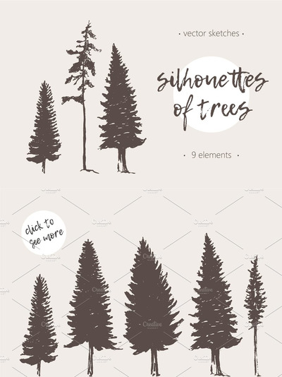 松树和杉树插画 Silhouettes of pine and fir trees