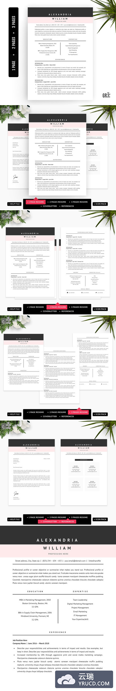 专业的简历模板 Professional Resume Template - Word