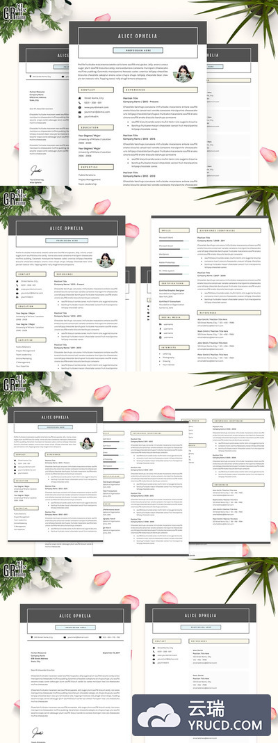 简历模板下载 5 Pages Resume - CV Template