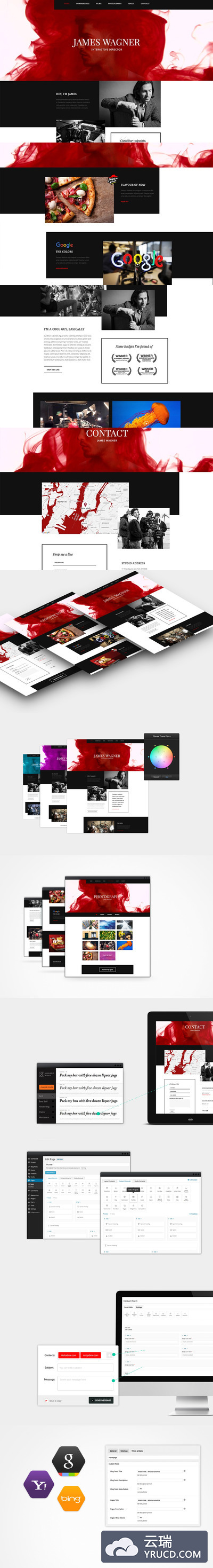 个性博客皮肤 Reel Story - Portfolio WP Theme