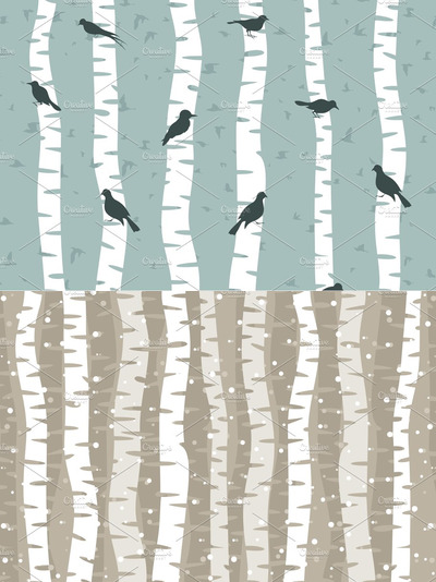 桦树树木插画 Birch wood