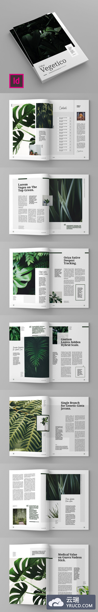 时尚简约的画册模板下载[indd]