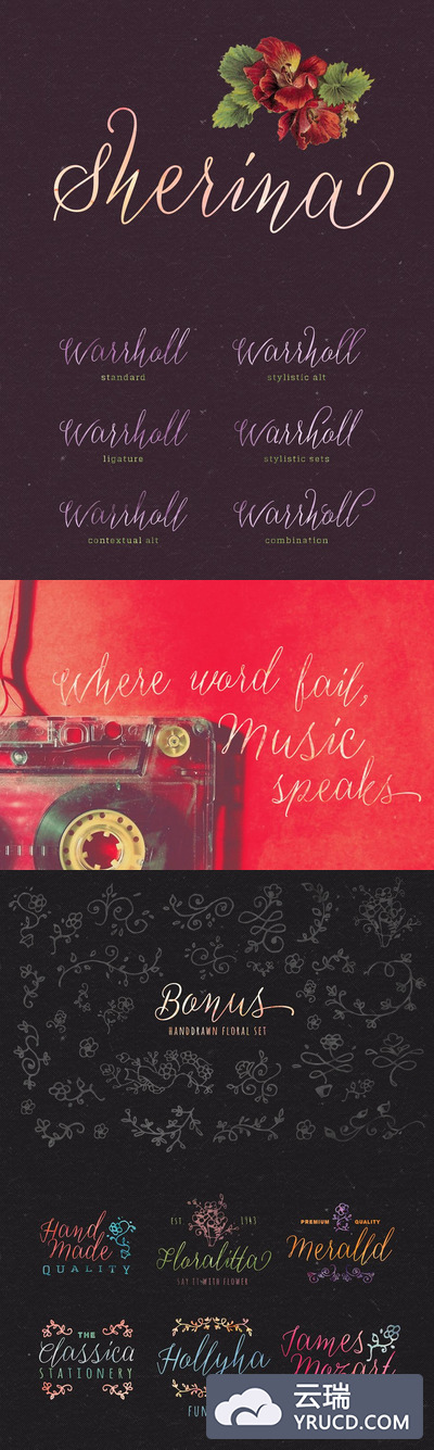 手写草书字体 Sherina + Bonus