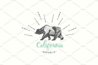 经典狗熊插画 California Republic, vintage emblem
