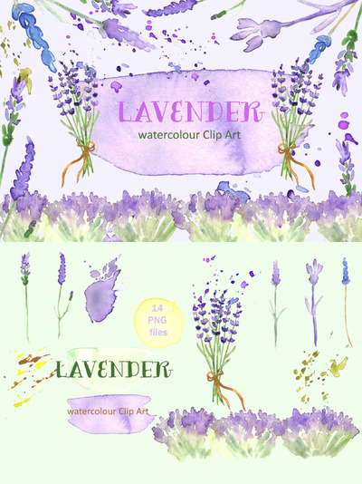 薰衣草水彩剪贴画 Lavender watercolor clipart