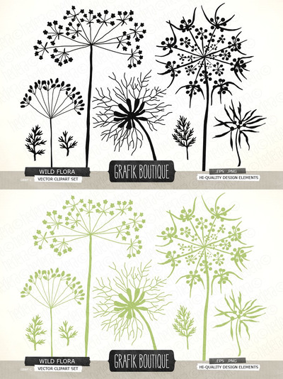野菜花插画 Wild herbs flowers silhouette vector
