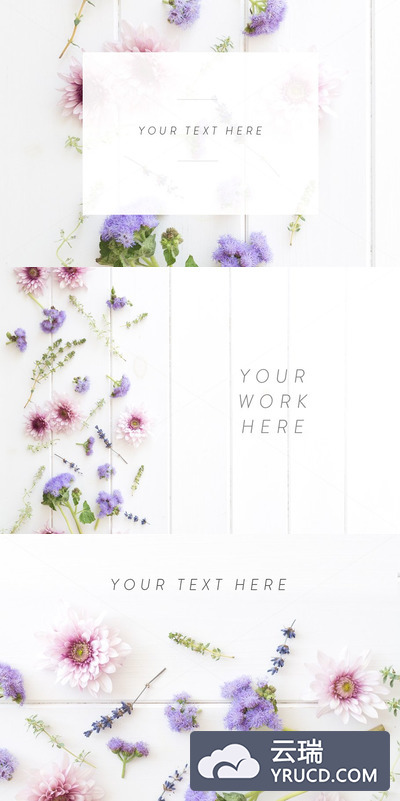 花卉摄影样机素材 Floral styled stock photography