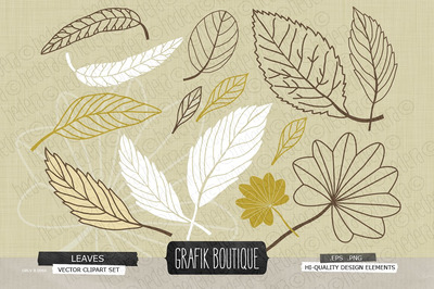 秋季树叶插画 Leaves autumn vector