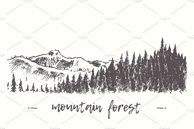 山上的冷杉林素描插画 Fir forest in the mountains