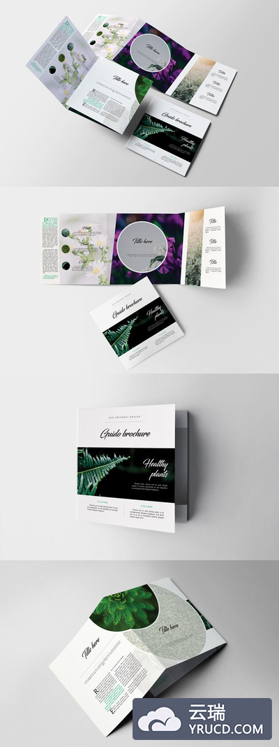 方形三折页画册模板 Guido Square Trifold Brochure