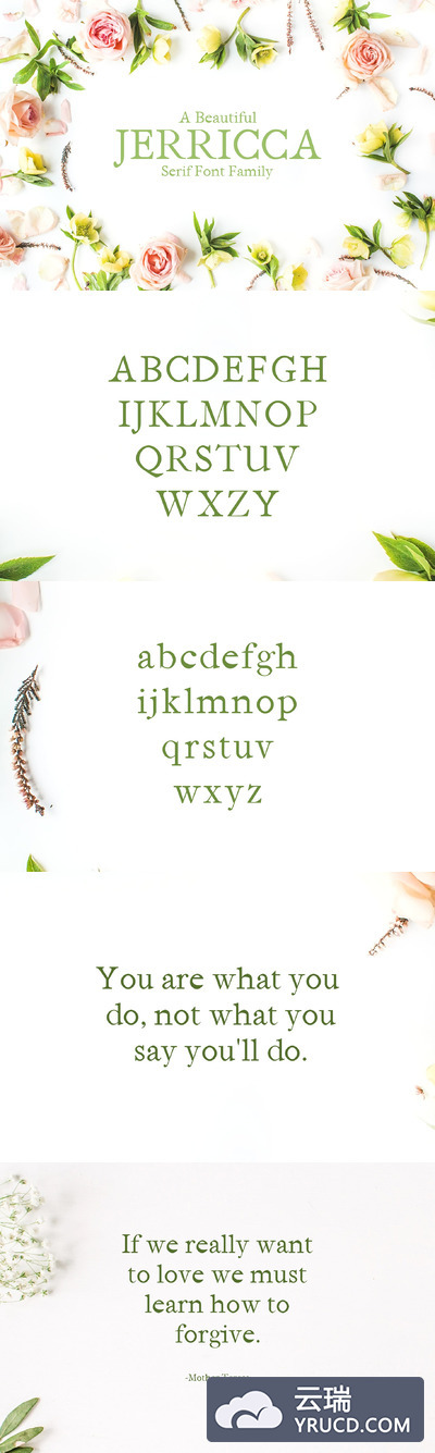 时尚衬线字体 Jerricca Serif 4 Font Family Pack