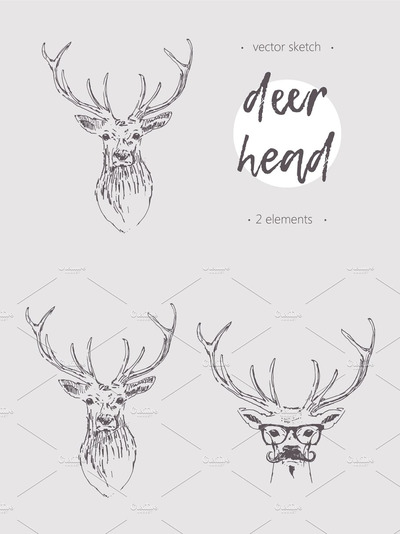 两个鹿角的素描插画 Two sketches of a deer head