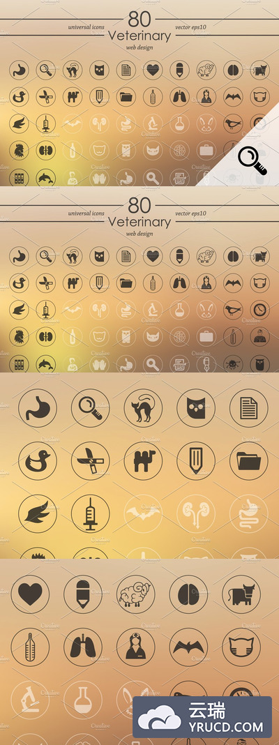 兽医图标素材 80 VETERINARY icons