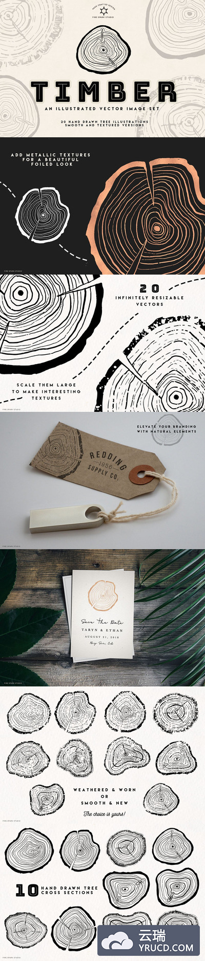 简约个性的时尚木材年轮矢量树环插图集合