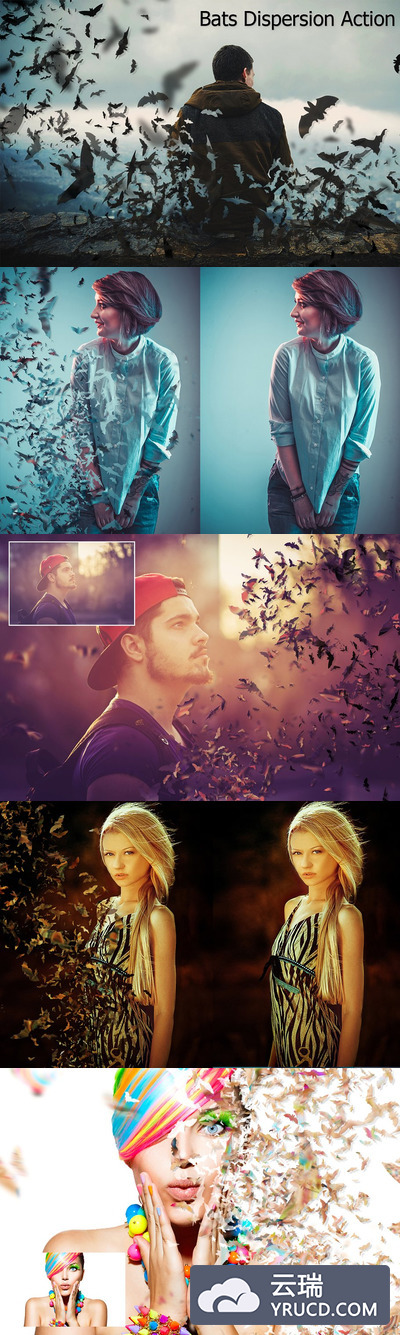 蝙蝠分散ps动作 Bats Dispersion Action
