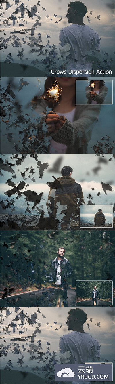 乌鸦分散PS行动 Crows Dispersion Action