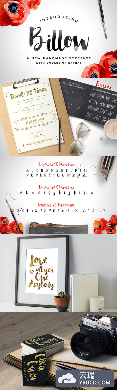 手写笔刷元素 Billow Font + Extras